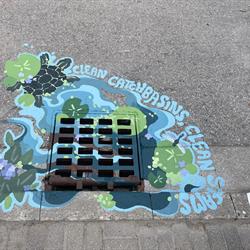 Erika Tschinkel _Clean Catchbasins, Clean Streams